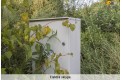 Parduodamas sklypas Bagdononių k., 21 a ploto