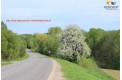 Parduodamas sklypas Semeliškių k., 1317 a ploto