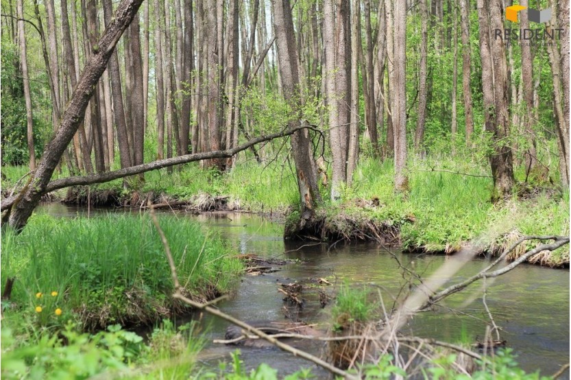 Parduodamas sklypas Strazdiškių k., 154 a ploto